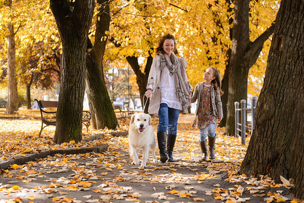 How to Get Your Home’s Furnace Ready for Winter