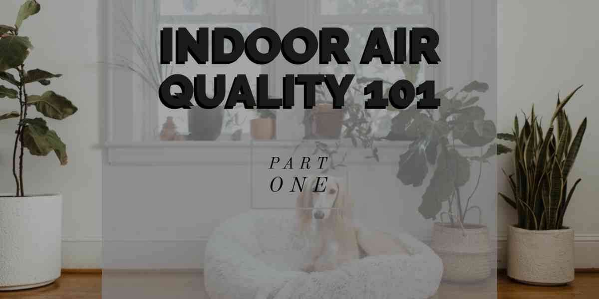 Tips To Improve Your Indoor Air Quality – Part 1
