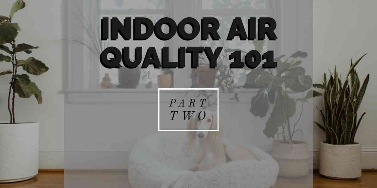 Tips to Improve Your Indoor Air Quality – Part 2