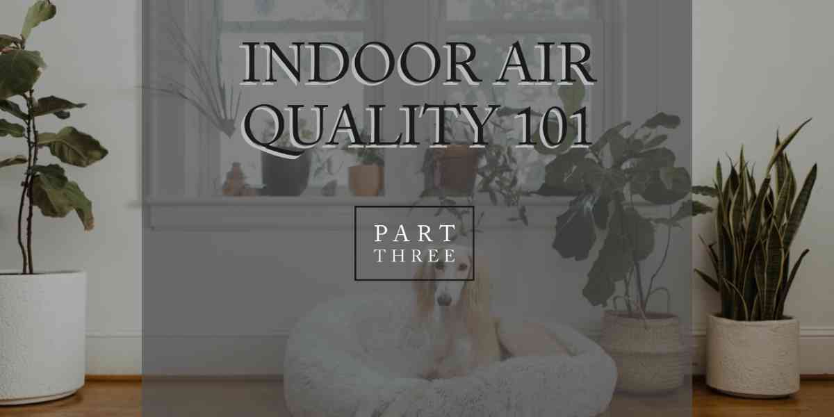 Tips to Improve Your Indoor Air Quality – Part 3